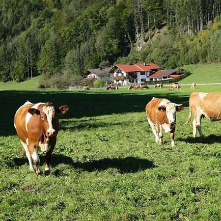 Ferienwohnung Leitner Kiefersfelden Buitenkant foto