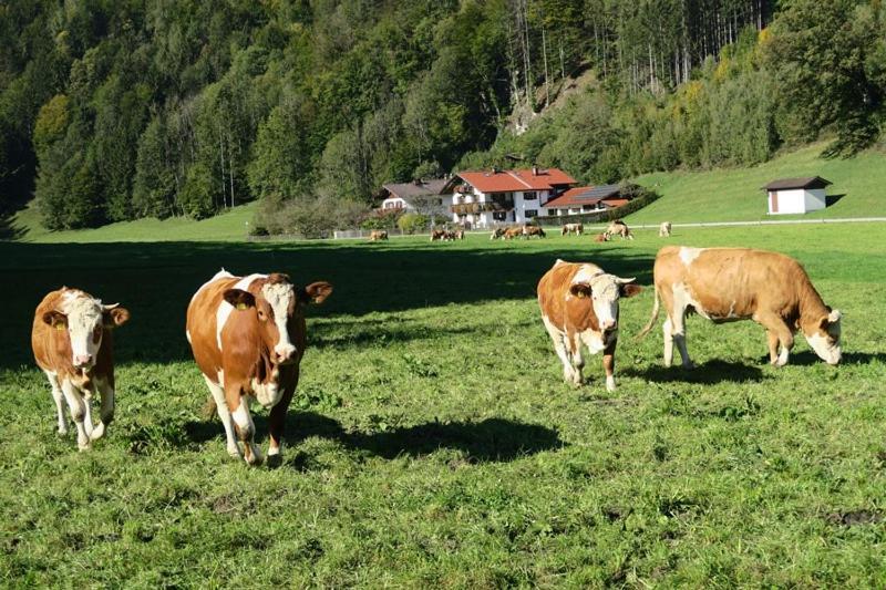 Ferienwohnung Leitner Kiefersfelden Buitenkant foto